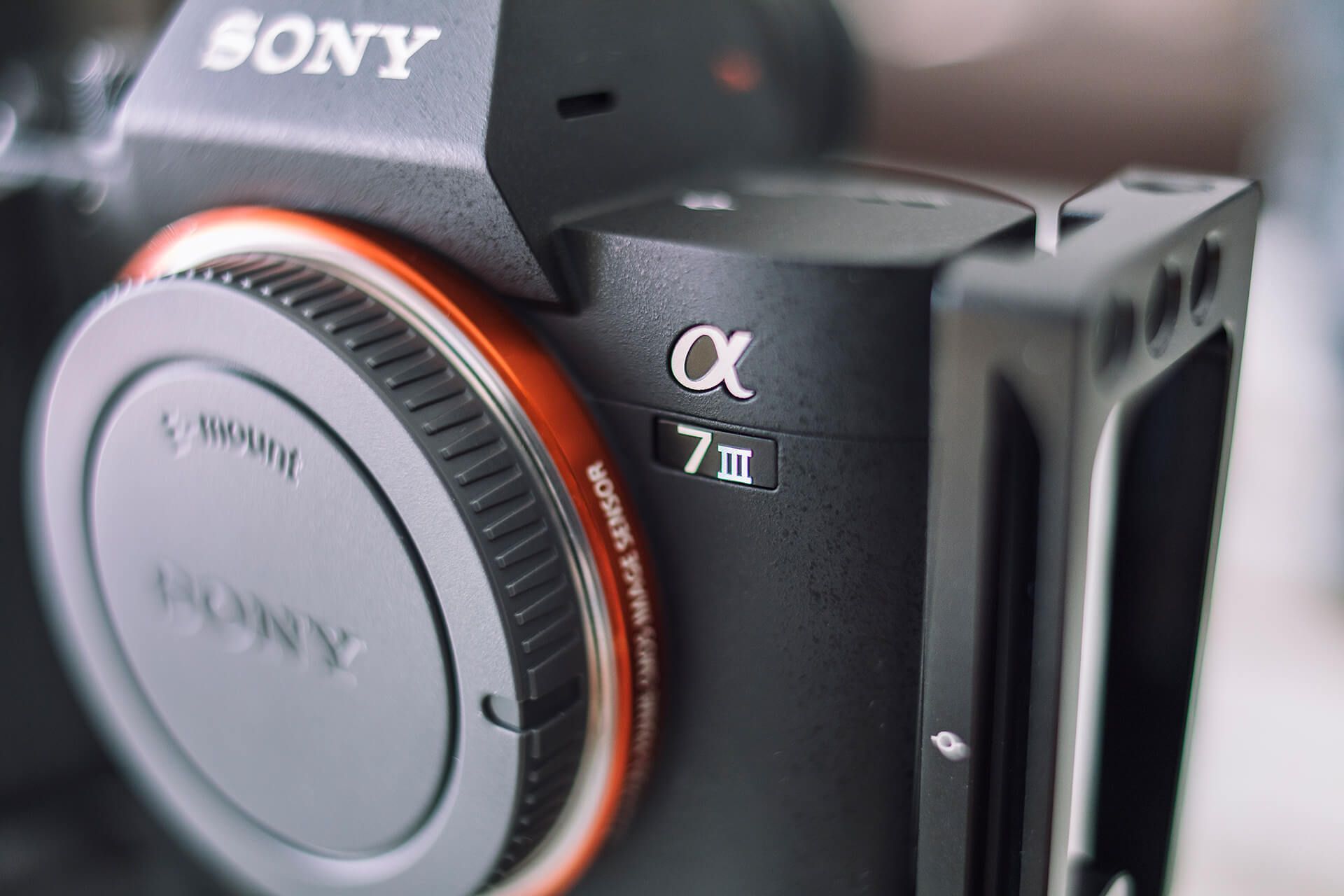 Systemwechsel auf Sony A7 III 52